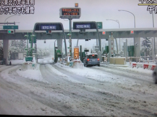 日本多地遭遇暴風(fēng)雪交通運(yùn)輸受影響（圖）