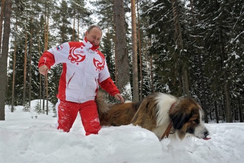 普京帶著寵物犬在雪地里散步。