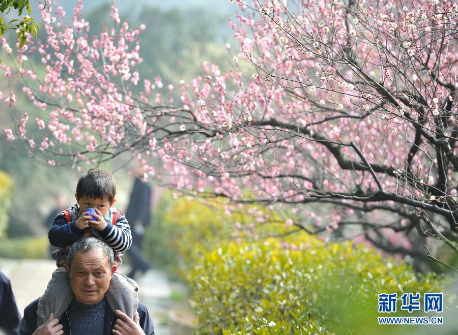 #（社會(huì)）（1）踏青賞梅享春意