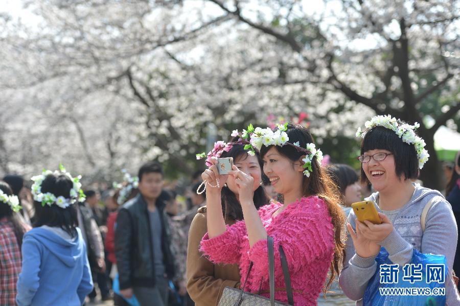 #（社會(huì)）（3）南國(guó)花開(kāi)艷 賞櫻正當(dāng)時(shí)